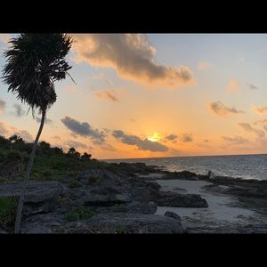 Meet your Posher, Sylvia